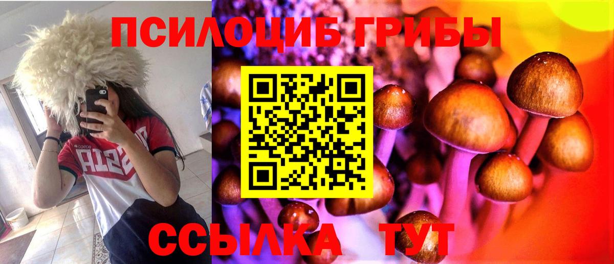 Галлюциногенные грибы GOLDEN TEACHER  Псилоцибиновые грибы мухоморы  Тихорецк  Вход с VPN 