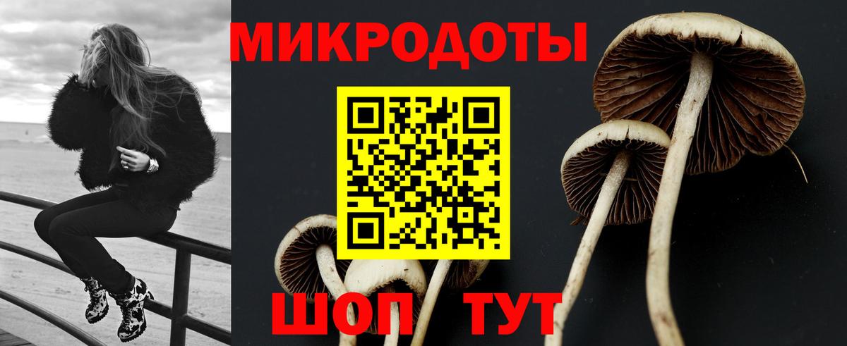 Псилоцибиновые грибы MAGIC MUSHROOMS Тихорецк